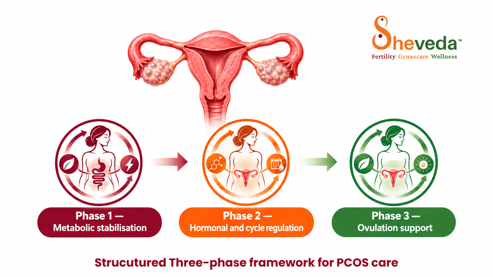 Illustration representing women's reproductive health and PCOS care