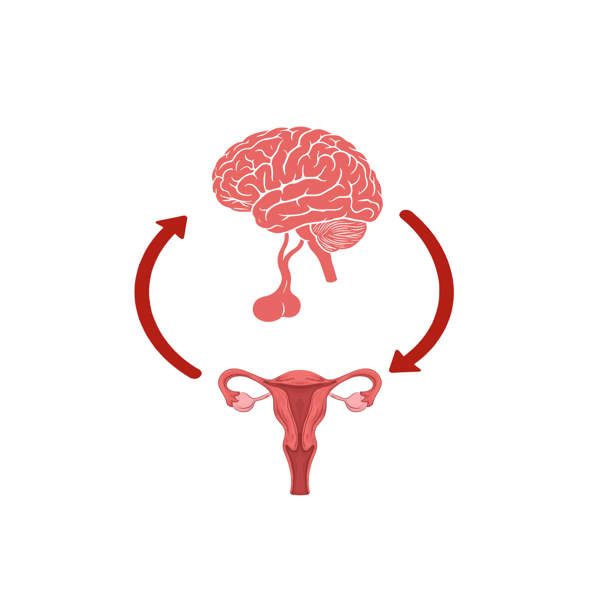 Hormonal & Metabolic Concerns