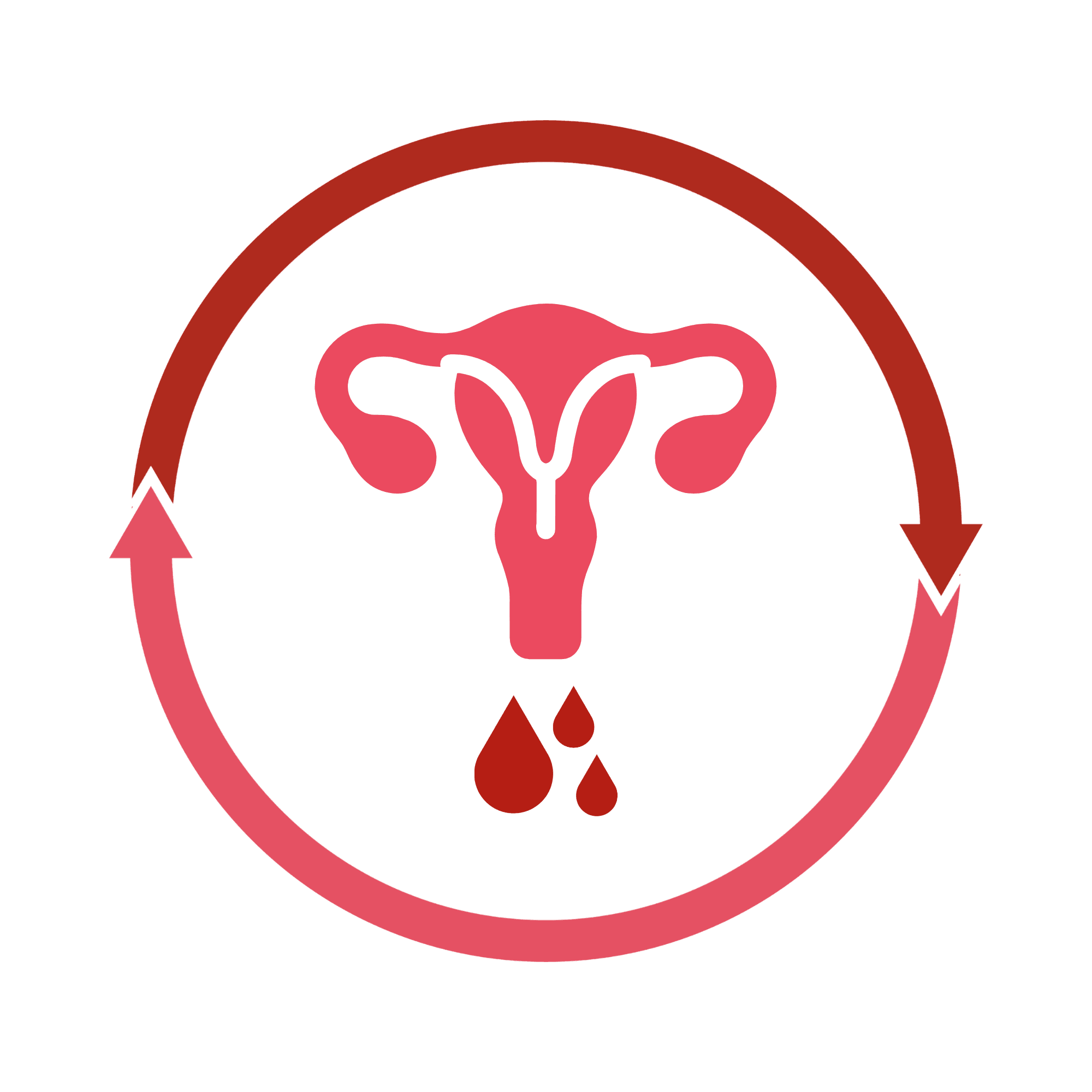 Menstrual & Bleeding Concerns