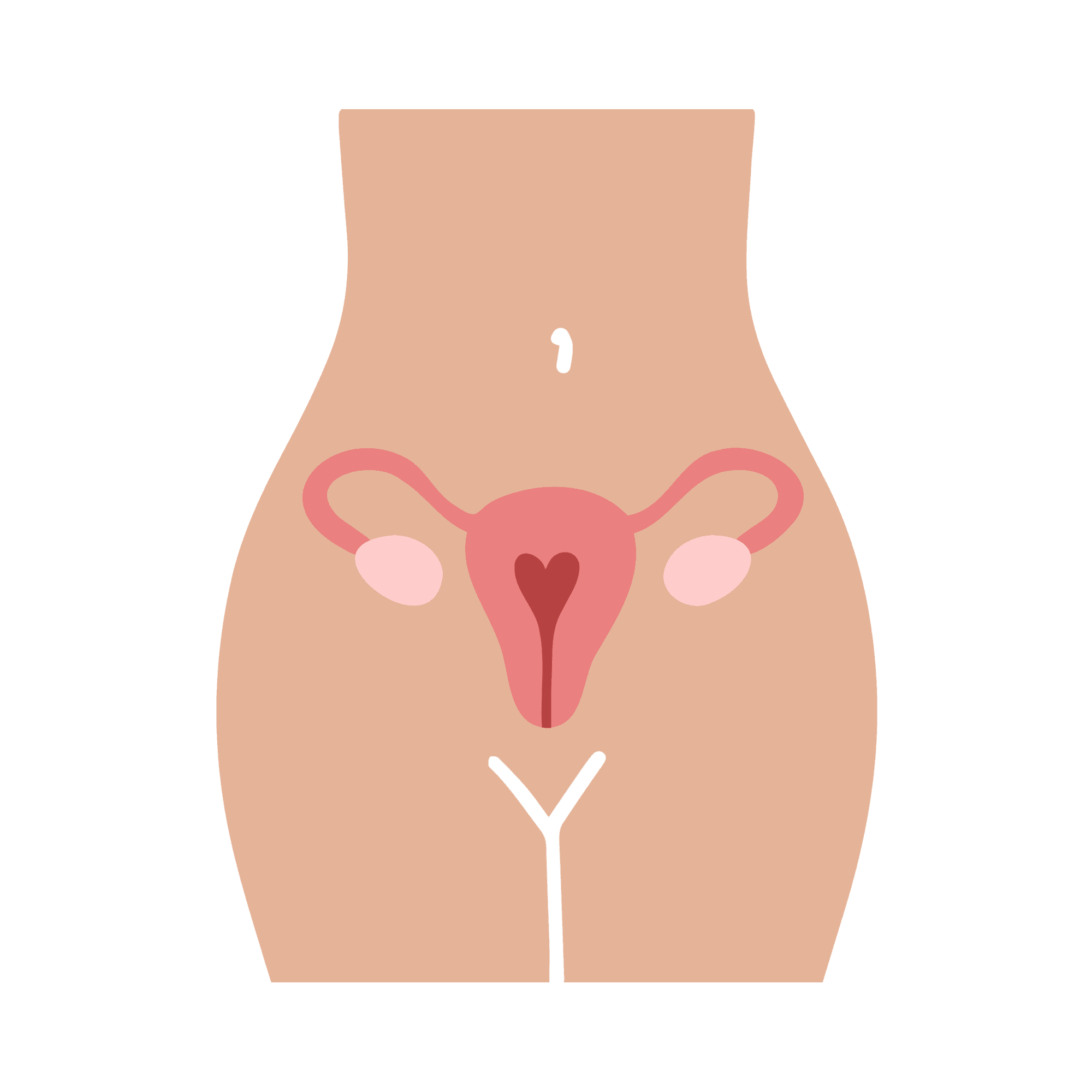 Uterine, Ovarian & Pelvic Conditions